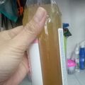 Cooksnap dari Dapur Harti untuk resep Jamu Mengkudu (Dijamin Enak Tidak Pahit dan Tidak Getir)