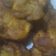 Cooksnap dari indri_ID untuk resep Pisang Goreng Madu Bu Nanik