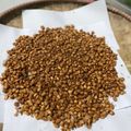 Cooksnap dari merisa fauziah untuk resep Kacang Kribo