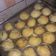 Cooksnap dari Ati Suhaeti Sudrajat untuk resep Takoyaki