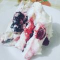El cooksnap de Macarena barrientos cuando hizo Disco de merengue, ideal para torta, más tips en la receta.