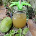 Beena Radia's cooksnap of when they made આમ પન્ના સમર સ્પેશિયલ (Aam Panna Summer Special Recipe In Gujarati).