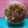 Cooksnap dari Dapurmakewi untuk resep Salted Egg Yolk Cornflakes