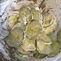 Sophie V.'s cooksnap of when they made Gurkensalat.
