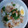 Cooksnap dari Anadianawati Wati untuk resep Nasi Bakmoy Ayam Tahu