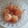 El cooksnap de carmen Araoz cuando hizo Manzanas y peras hervidas en almíbar dietético.