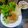 Cooksnap dari Lina Hadayanti untuk resep Cwie Mie Khas Malang