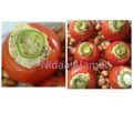 صورة من مطبخ صحي و لذيذ ، شاركها بعد تجربة وصفة طريقة عمل الشكشوكه الفلسطينيه رووووعه 👌🏻😋