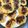 Cooksnap dari rimma puspita untuk resep Kue Cubit Lembut