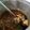 Cooksnap dari @dapurata untuk resep Ceker Ayam Super Pedas