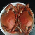 Cooksnap của Lê Trinh khi họ làm theo món Cua hấp gừng 🦀🦀🦀