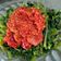 Cooksnap dari Merchandise Islam untuk resep Plecing kangkung (pedes seger)