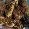Cooksnap dari Nila Permata Sari untuk resep Ayam goreng lengkoas