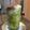 Cooksnap dari Mery's untuk resep Alpukat kocok ice cream
