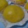 Cooksnap dari Mienny Dolphin untuk resep PAO labu kuning tanpa tepung tanmien(lembut dan kenyal)