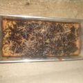 Cooksnap dari Ken-Es untuk resep Bolu pisang 1 telur no mixer