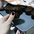 El cooksnap de Rebeca Luis Vilaseca cuando hizo Bizcocho fitt de chocolate.