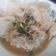 Cooksnap dari ely virgijanti untuk resep Bubur ayam simple dan cepat