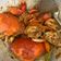 Cooksnap dari Vindyyy untuk resep Kepiting saus tiram /asam manis pedas