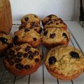 El cooksnap de Fabby cuando hizo Muffins sin azúcar, arándano, frambruesa y chips chocolate.
