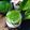 Cooksnap dari Setya N untuk resep Cendol Dawet (agar2)
