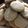 El cooksnap de roous cuando hizo Galletitas de Limón caseras.