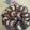 Cooksnap dari tiara annisa untuk resep Choco Cashew Cookies