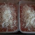 Cooksnap dari Shien Nie untuk resep Setup Roti Tawar