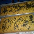 Cooksnap dari Shi BelSa Surachmat untuk resep Bolu Singkong Keju #5resep_terbaruku