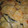 El cooksnap de Morg cuando hizo Calabacines a la siciliana.