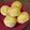 Cooksnap dari Hime & Quin Kitchen untuk resep Burger Bun