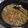 Cooksnap dari Ary Res untuk resep Tumis pedas udang + lorjuk