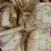 Cooksnap dari Satia Budianti untuk resep Ketupat simpel ngga pake presto
