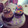 El cooksnap de anna-anna cuando hizo Tarta corazón San Valentín.