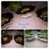 Cooksnap dari Laila Rahmalillah untuk resep BROWKAT lumer (brownies + avocado mousse + chocolate ganache) no mixer #BrowniesAlpukat