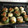 El cooksnap de cristiankl cuando hizo Zapallitos rellenos.
