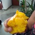 El cooksnap de anny joseph cuando hizo Torta de calabacín.