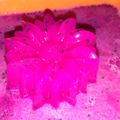 Cooksnap dari Bunda arkan untuk resep Puding buah naga merah