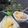 Cooksnap dari Arsika Prenata untuk resep Lepet Jagung
