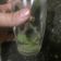 El cooksnap de Hernan Diego Martin cuando hizo Mojito tradicional.