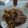 El cooksnap de Sandra Porcel Gonzalez cuando hizo Secreto de cerdo al horno y patatas aplastadas.