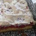 Nagyne Agnes Cooksnap-ja, amikor elkészítette a(z) Ribizlis-habcsókos pite receptet.