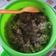 Cooksnap dari Nany Nur untuk resep Samba Lado Mudo (sambal cabe ijo) khas Padang