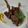 Bushra Mazhar's cooksnap of when they made Chops.