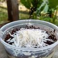 Cooksnap dari Azqiya Putri Ramadanti untuk resep Chesee cake lumer