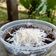 Cooksnap dari Azqiya Putri Ramadanti untuk resep Chesee cake lumer