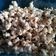Cooksnap dari Siti Khasinah untuk resep Popcorn asin