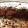 El cooksnap de fer cuando hizo Torta de remolacha 225.