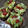 El cooksnap de mariana cuando hizo Tostadas de Aguacate y Huevo.