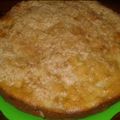 El cooksnap de Jimena Molina cuando hizo Torta de las 12 cucharadas con manzana.